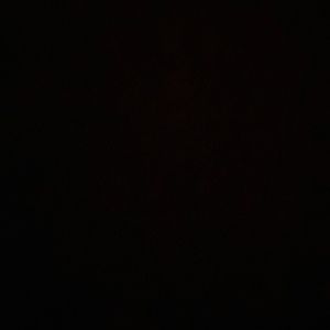 Meet your Posher, Sonya